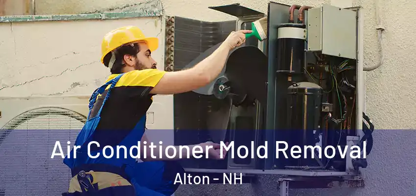 Air Conditioner Mold Removal Alton - NH
