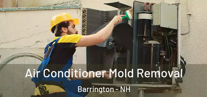  Air Conditioner Mold Removal Barrington - NH
