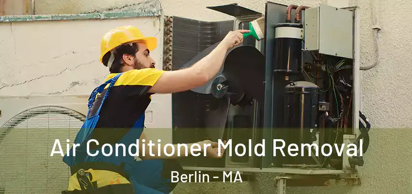  Air Conditioner Mold Removal Berlin - MA