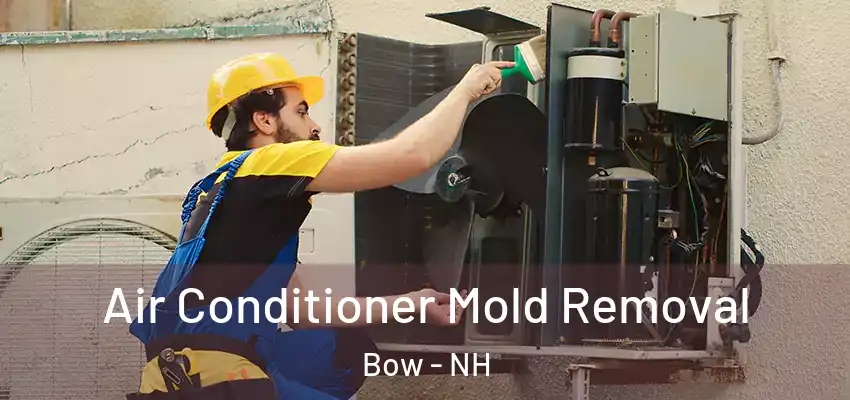 Air Conditioner Mold Removal Bow - NH