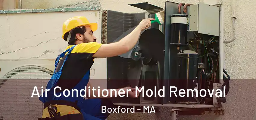 Air Conditioner Mold Removal Boxford - MA
