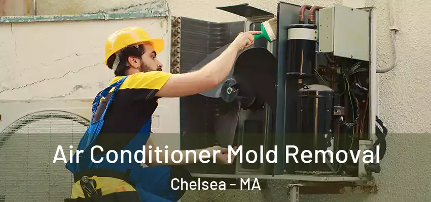  Air Conditioner Mold Removal Chelsea - MA