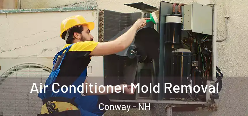 Air Conditioner Mold Removal Conway - NH