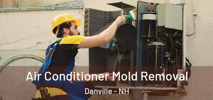 Air Conditioner Mold Removal Danville - NH