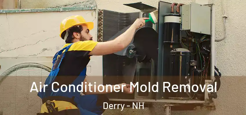  Air Conditioner Mold Removal Derry - NH