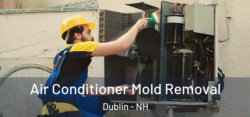 Air Conditioner Mold Removal Dublin - NH