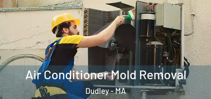  Air Conditioner Mold Removal Dudley - MA