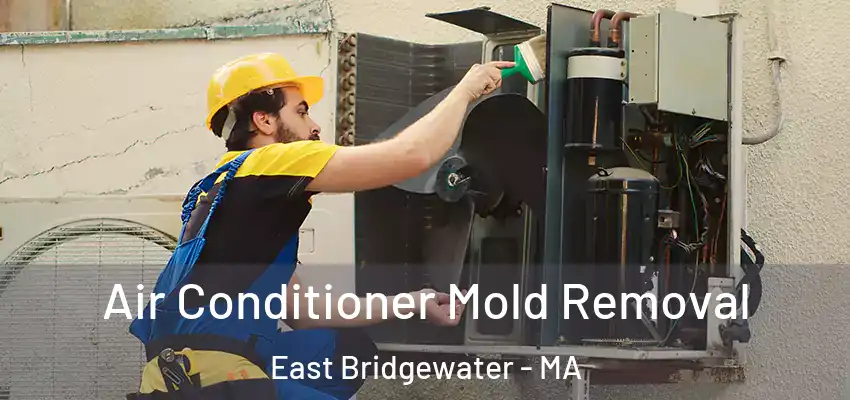  Air Conditioner Mold Removal East Bridgewater - MA