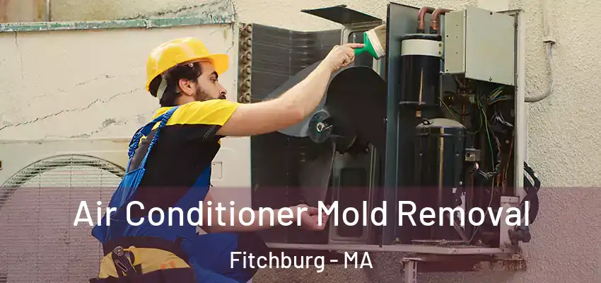 Air Conditioner Mold Removal Fitchburg - MA
