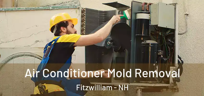  Air Conditioner Mold Removal Fitzwilliam - NH