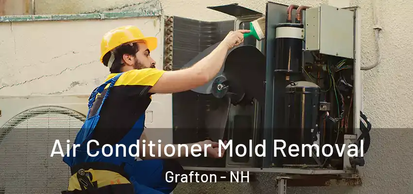  Air Conditioner Mold Removal Grafton - NH