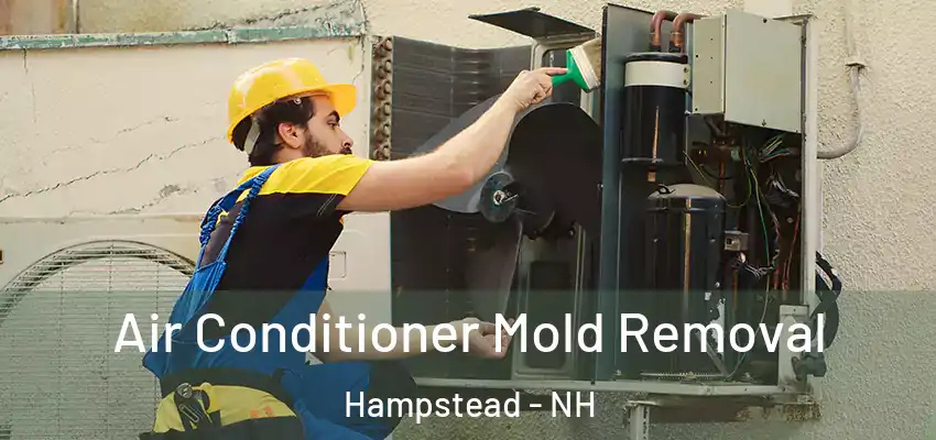 Air Conditioner Mold Removal Hampstead - NH