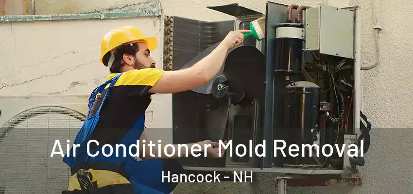  Air Conditioner Mold Removal Hancock - NH