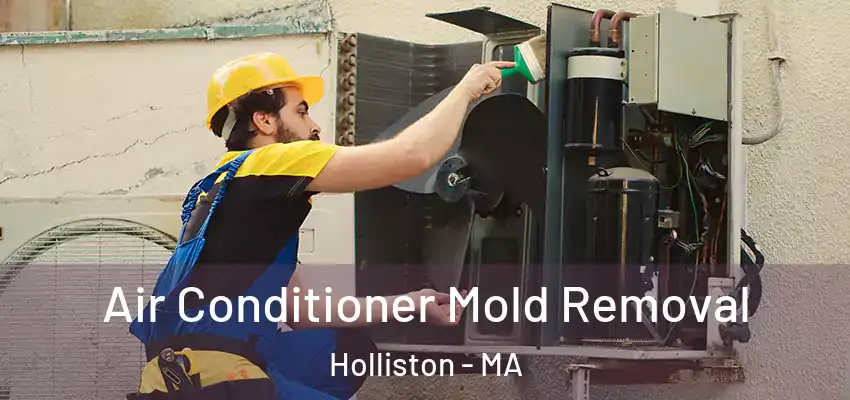Air Conditioner Mold Removal Holliston - MA