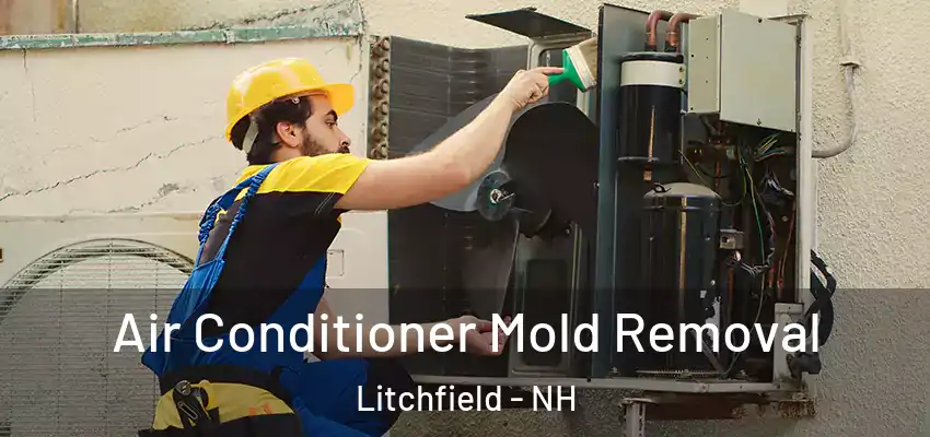 Air Conditioner Mold Removal Litchfield - NH