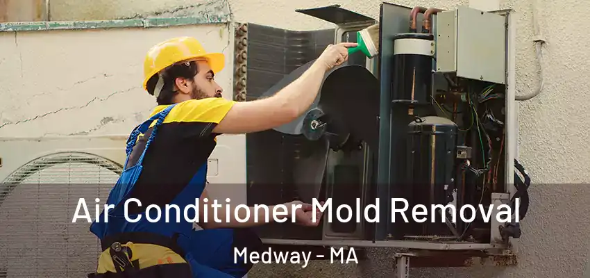 Air Conditioner Mold Removal Medway - MA
