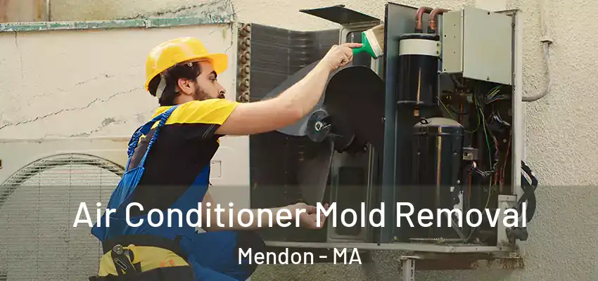  Air Conditioner Mold Removal Mendon - MA