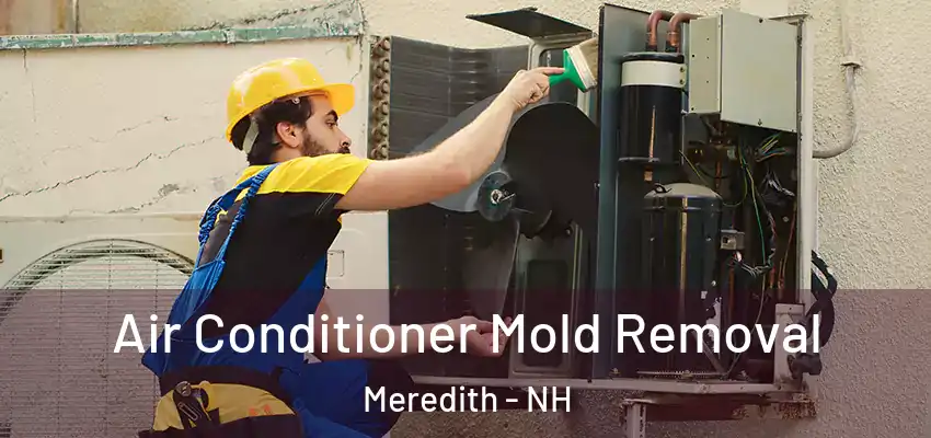  Air Conditioner Mold Removal Meredith - NH