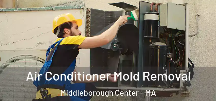 Air Conditioner Mold Removal Middleborough Center - MA