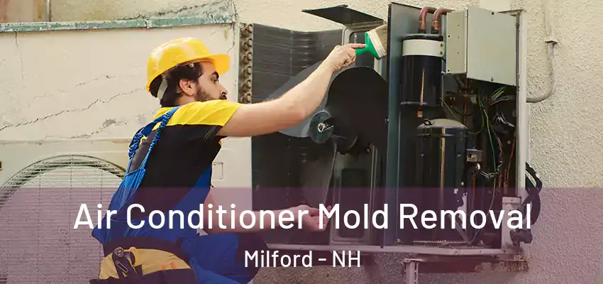  Air Conditioner Mold Removal Milford - NH