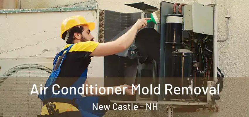 Air Conditioner Mold Removal New Castle - NH