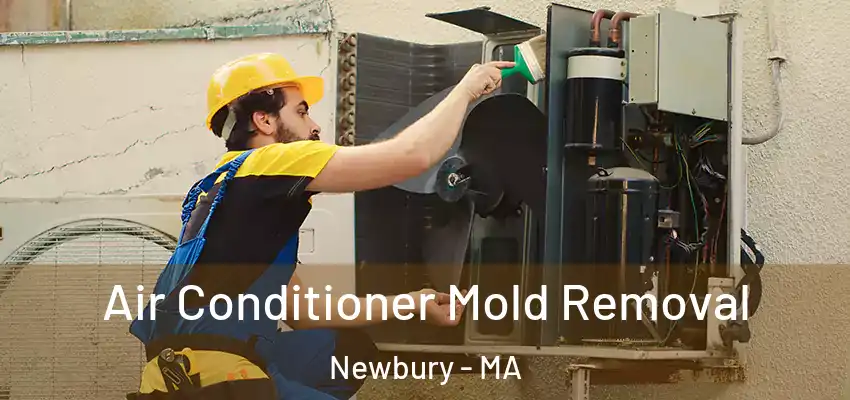 Air Conditioner Mold Removal Newbury - MA