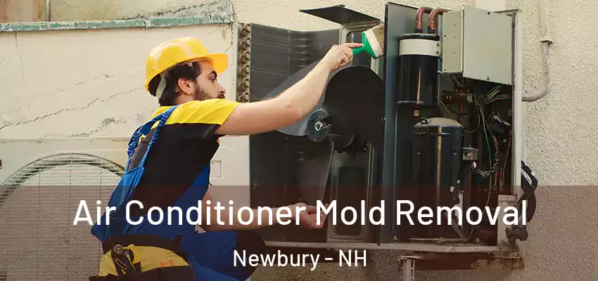 Air Conditioner Mold Removal Newbury - NH