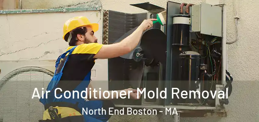  Air Conditioner Mold Removal North End Boston - MA