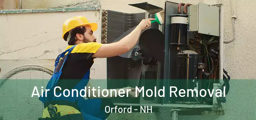 Air Conditioner Mold Removal Orford - NH