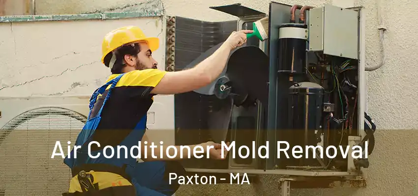 Air Conditioner Mold Removal Paxton - MA
