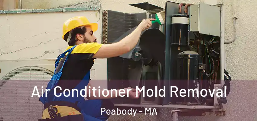  Air Conditioner Mold Removal Peabody - MA