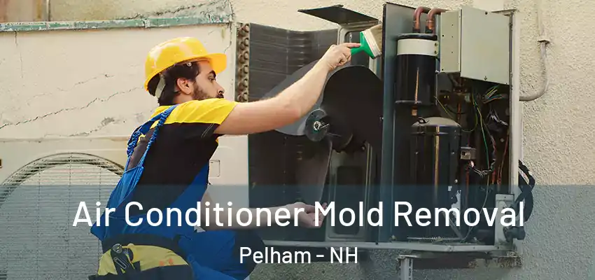 Air Conditioner Mold Removal Pelham - NH