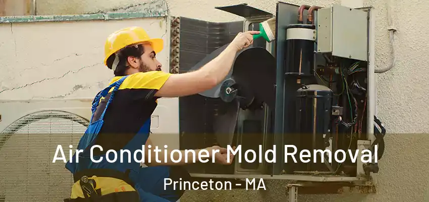 Air Conditioner Mold Removal Princeton - MA