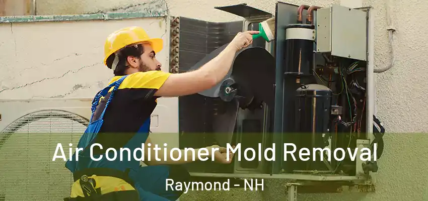 Air Conditioner Mold Removal Raymond - NH