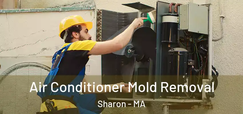  Air Conditioner Mold Removal Sharon - MA