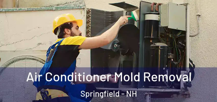  Air Conditioner Mold Removal Springfield - NH