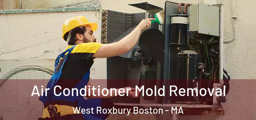  Air Conditioner Mold Removal West Roxbury Boston - MA