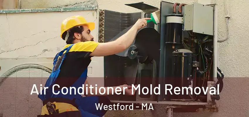  Air Conditioner Mold Removal Westford - MA