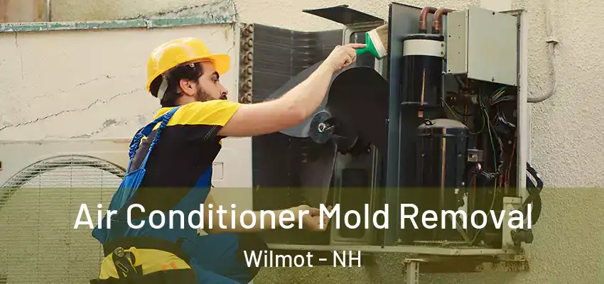  Air Conditioner Mold Removal Wilmot - NH