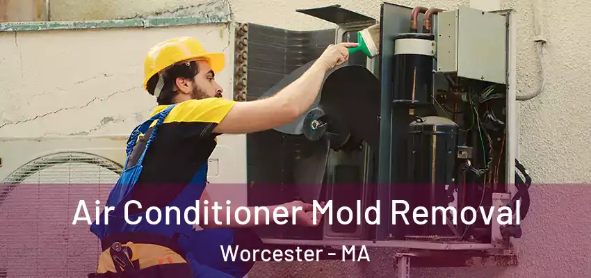  Air Conditioner Mold Removal Worcester - MA