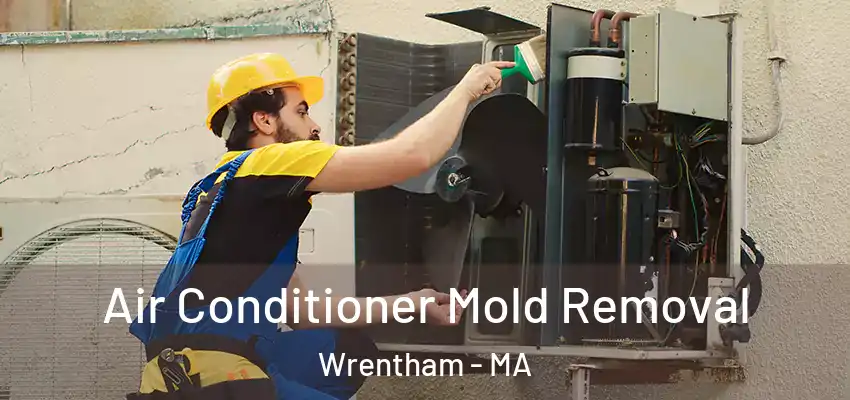  Air Conditioner Mold Removal Wrentham - MA