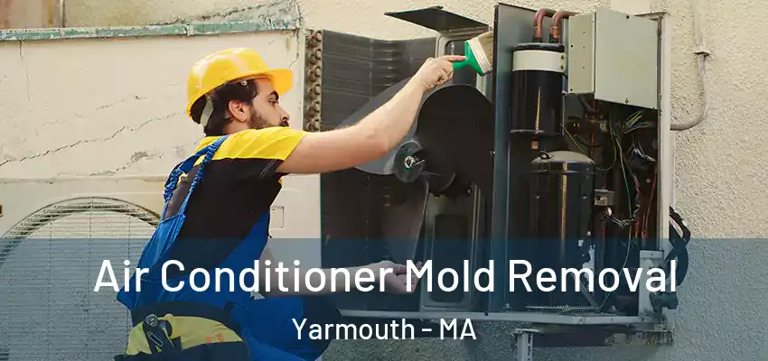  Air Conditioner Mold Removal Yarmouth - MA