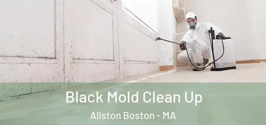  Black Mold Clean Up Allston Boston - MA