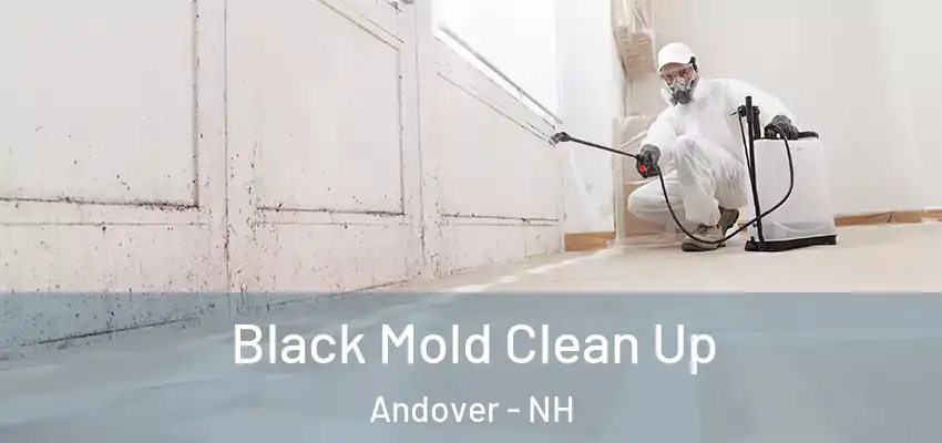 Black Mold Clean Up Andover - NH