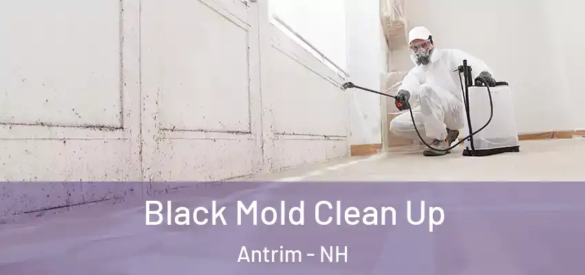 Black Mold Clean Up Antrim - NH