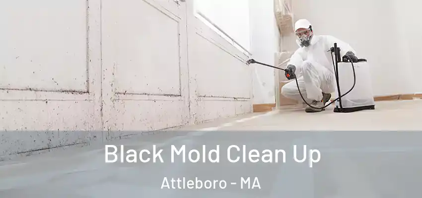 Black Mold Clean Up Attleboro - MA