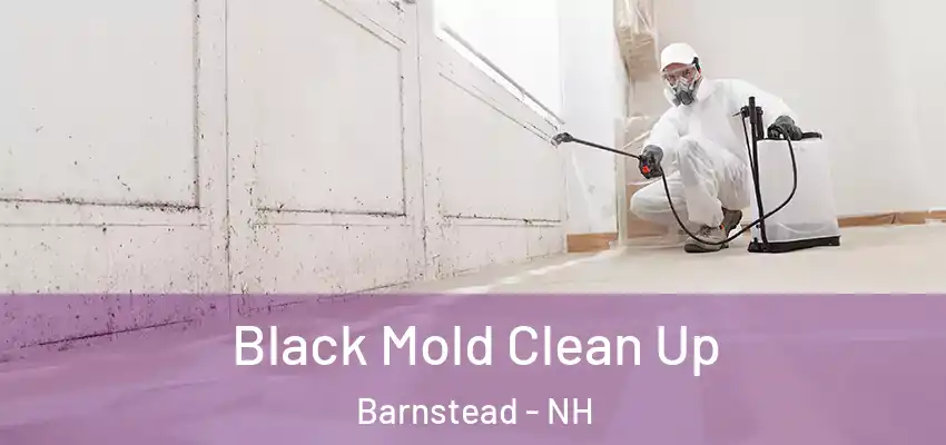 Black Mold Clean Up Barnstead - NH