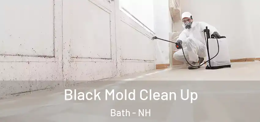 Black Mold Clean Up Bath - NH