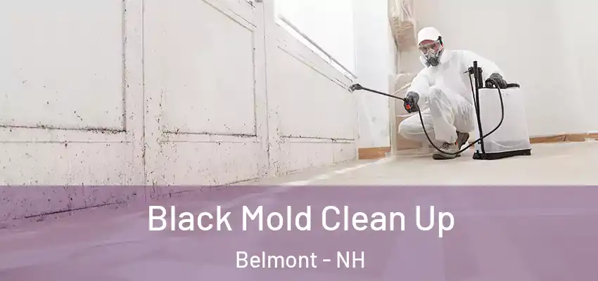  Black Mold Clean Up Belmont - NH