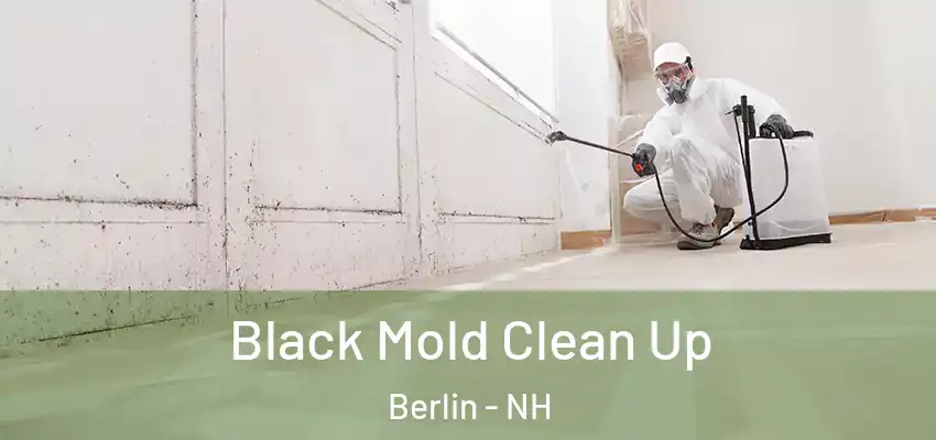 Black Mold Clean Up Berlin - NH